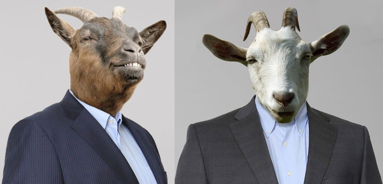 2-goats